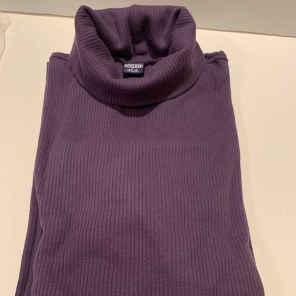 Lands' End Sweaters - NWT WOMEN’S LANDS’ END RIB TURTLENECK.